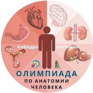 Победители Всероссийской студенческой онлайн-олимпиаде с международным участием «Parit patientia palmam» / «Пальмовую ветвь добывают терпением» по дисциплине «Анатомия и физиология человека»